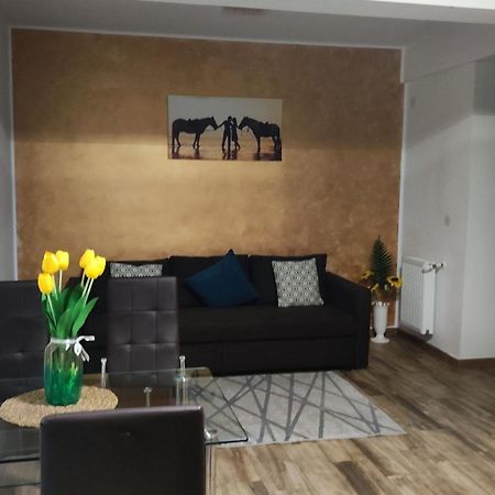 Apartament Lenus'K Apartment Букурещ Екстериор снимка